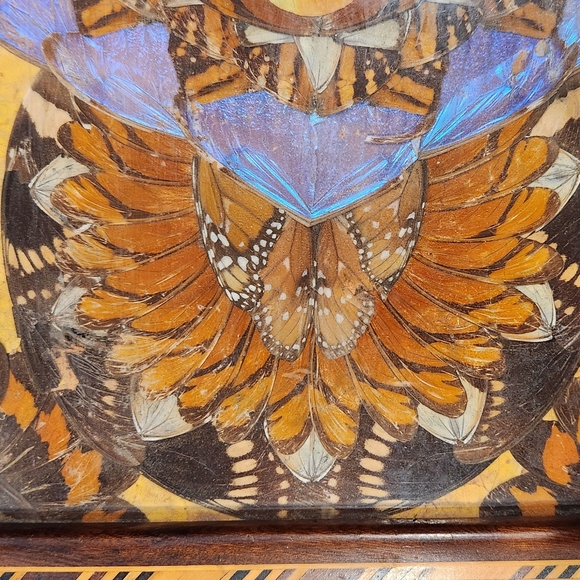 Vintage Inlaid Wood Tray with Butterfly Wings - Picture 12 of 16